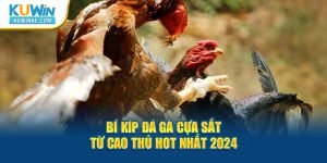 bi-kip-da-ga-cua-sat-tu-cao-thu-hot-nhat-2024