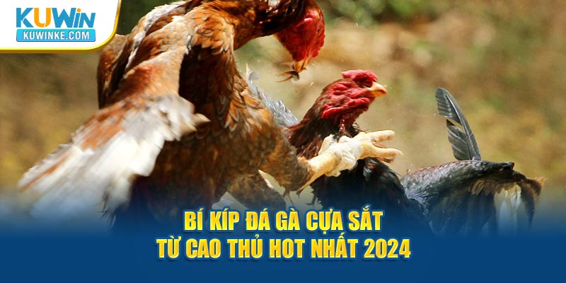 bi-kip-da-ga-cua-sat-tu-cao-thu-hot-nhat-2024