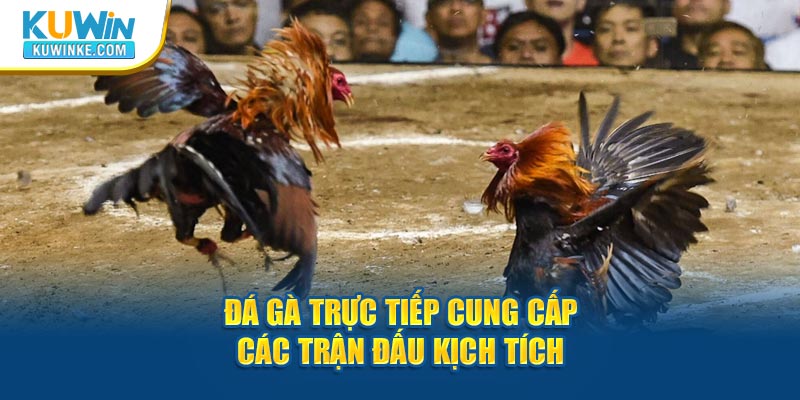 da-ga-truc-tiep-cung-cap-cac-tran-dau-kich-tich