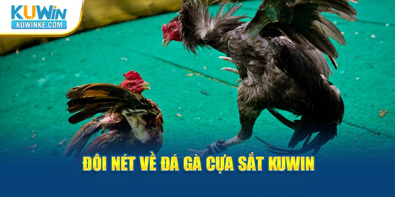 doi-net-ve-da-ga-cua-sat-kuwin