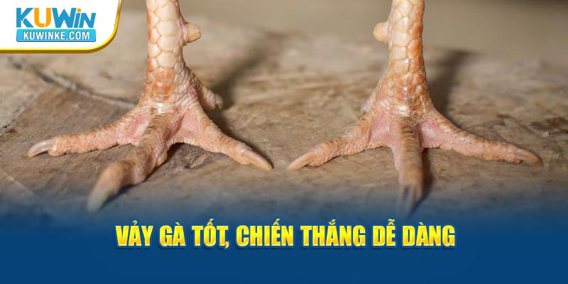 nhung-vay-ga-quy-hiem-chien-thang-de-dang